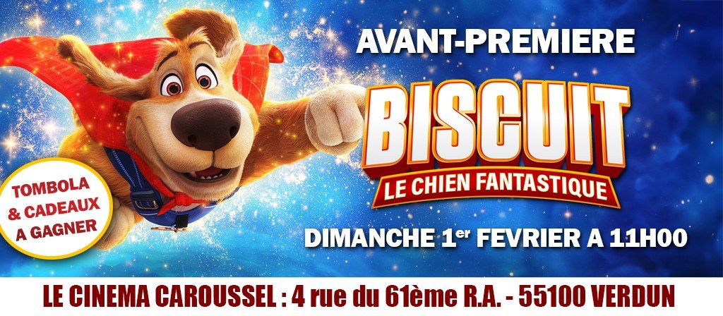 actualité AVP BISCUIT